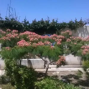Casa vacanze Domus Austri, Messina